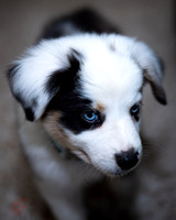 ESPS1009