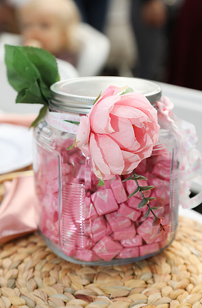 Sofia'sBabyShower-10